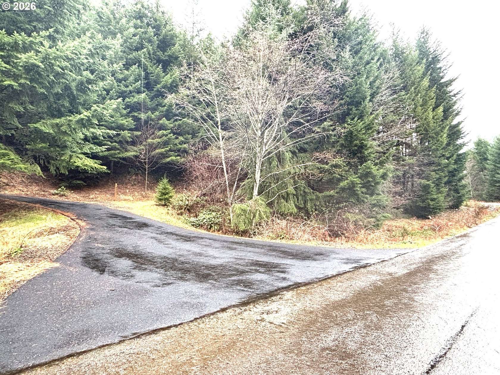 10.1 Acres of Recreational & Residential Land for Sale in Ariel, Washington