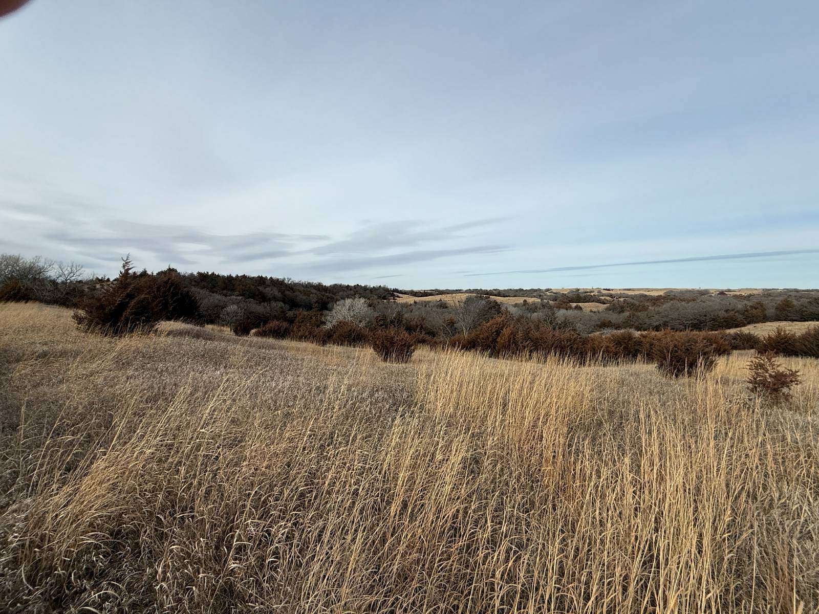 10.5 Acres of Recreational & Residential Land for Sale in O'Neill, Nebraska