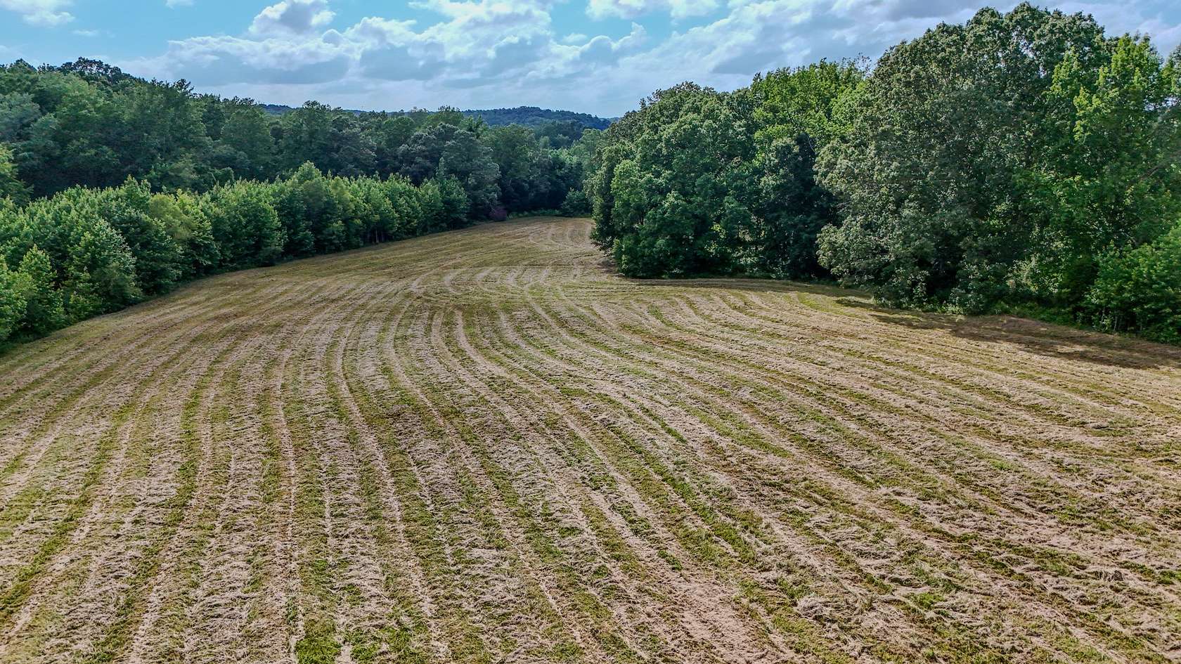 105 Acres of Land for Sale in Decaturville, Tennessee