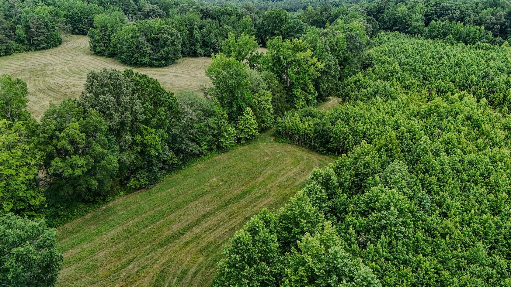 105 Acres of Land for Sale in Decaturville, Tennessee