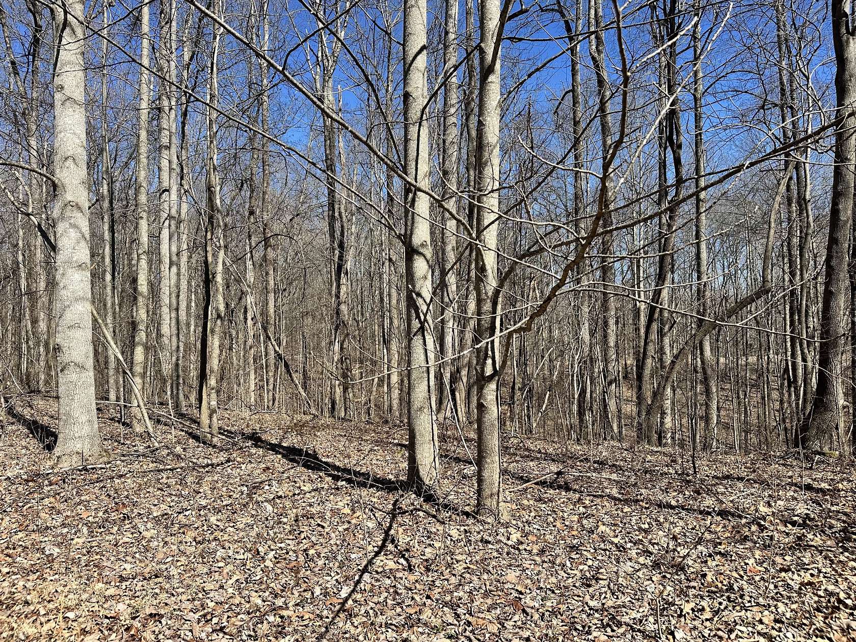 0.34 Acres of Residential Land for Sale in Smithville, Tennessee