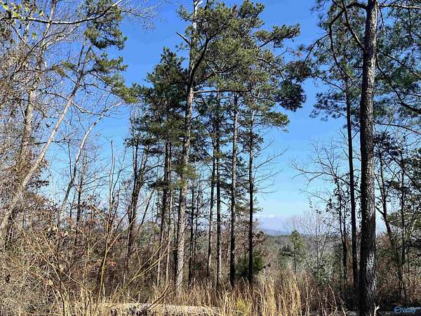 1.44 Acres of Land for Sale in Cedar Bluff, Alabama
