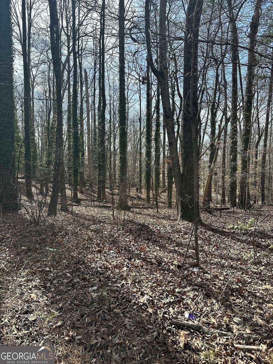 1 Acre of Land for Sale in Atlanta, Georgia