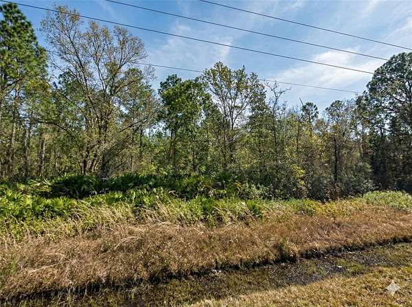 1.13 Acres of Residential Land for Sale in Hastings, Florida