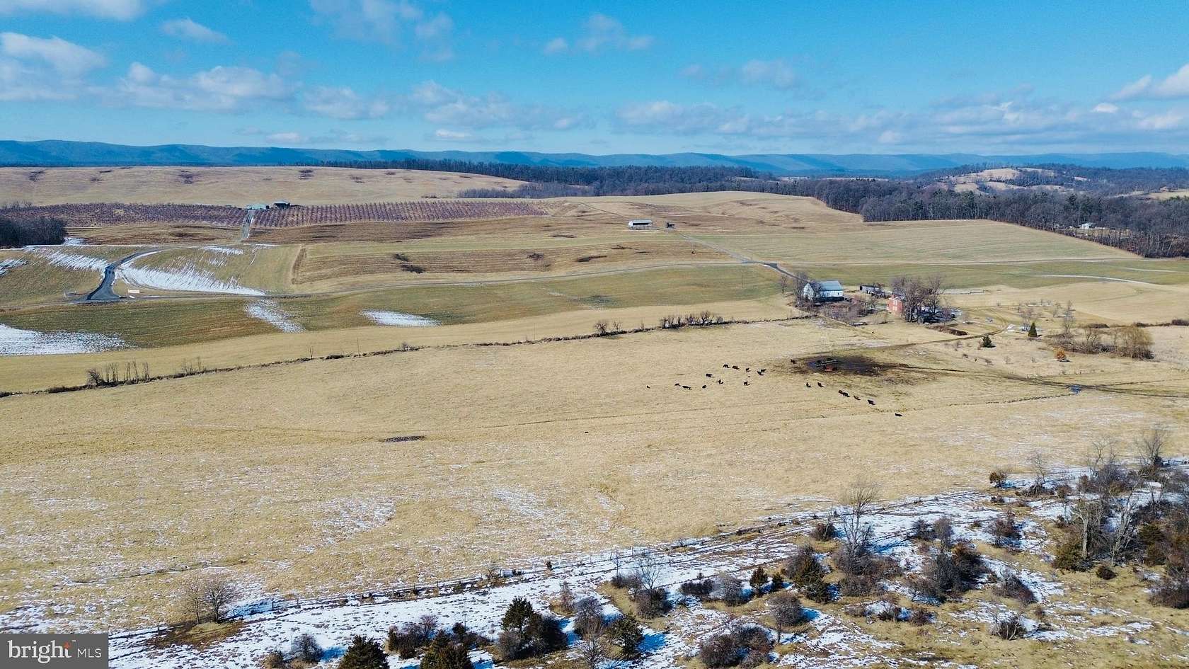 135 Acres of Land for Sale in Quicksburg, Virginia