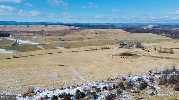 135 Acres of Land for Sale in Quicksburg, Virginia