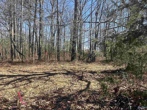 0.42 Acres of Land for Sale in Somerville, Alabama