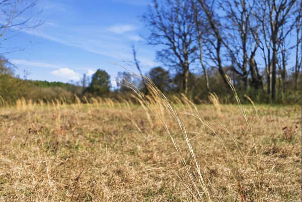 2.5 Acres of Residential Land for Sale in Holland, Arkansas