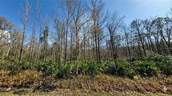 1.13 Acres of Land for Sale in Hastings, Florida