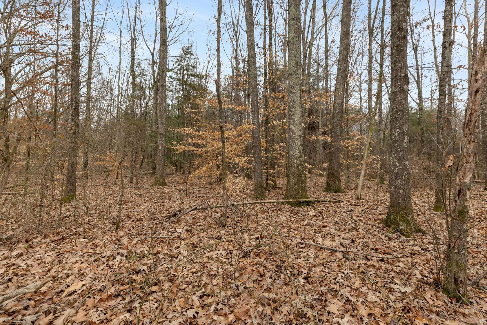 5.6 Acres of Residential Land for Sale in White Bluff, Tennessee