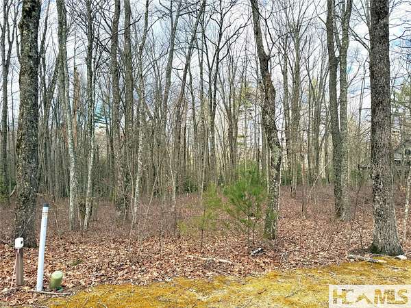 0.8 Acres of Land for Sale in Cashiers, North Carolina
