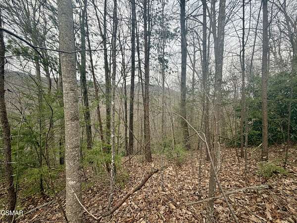 1.28 Acres of Land for Sale in Gatlinburg, Tennessee