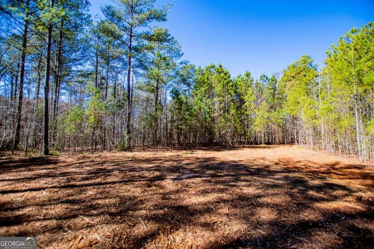 21.8 Acres of Land for Sale in Bowdon, Georgia