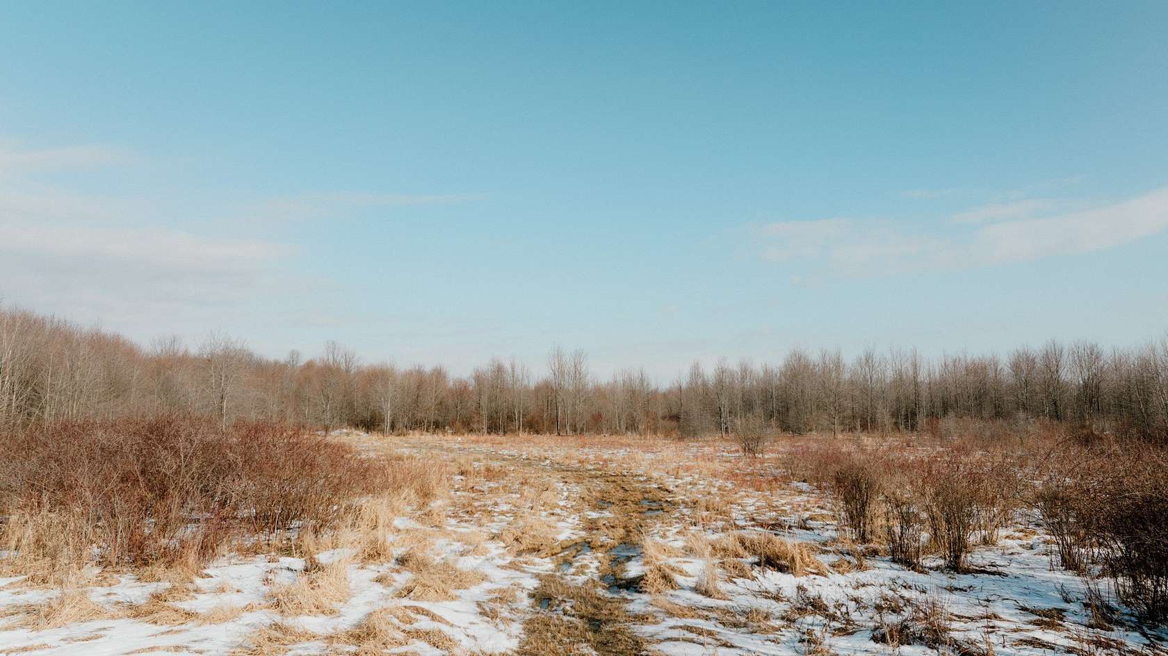 25.3 Acres of Recreational & Residential Land for Sale in Cranesville, Pennsylvania