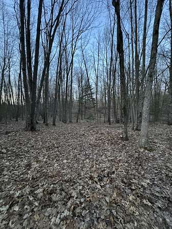 3.48 Acres of Residential Land for Sale in Branch Township, Michigan