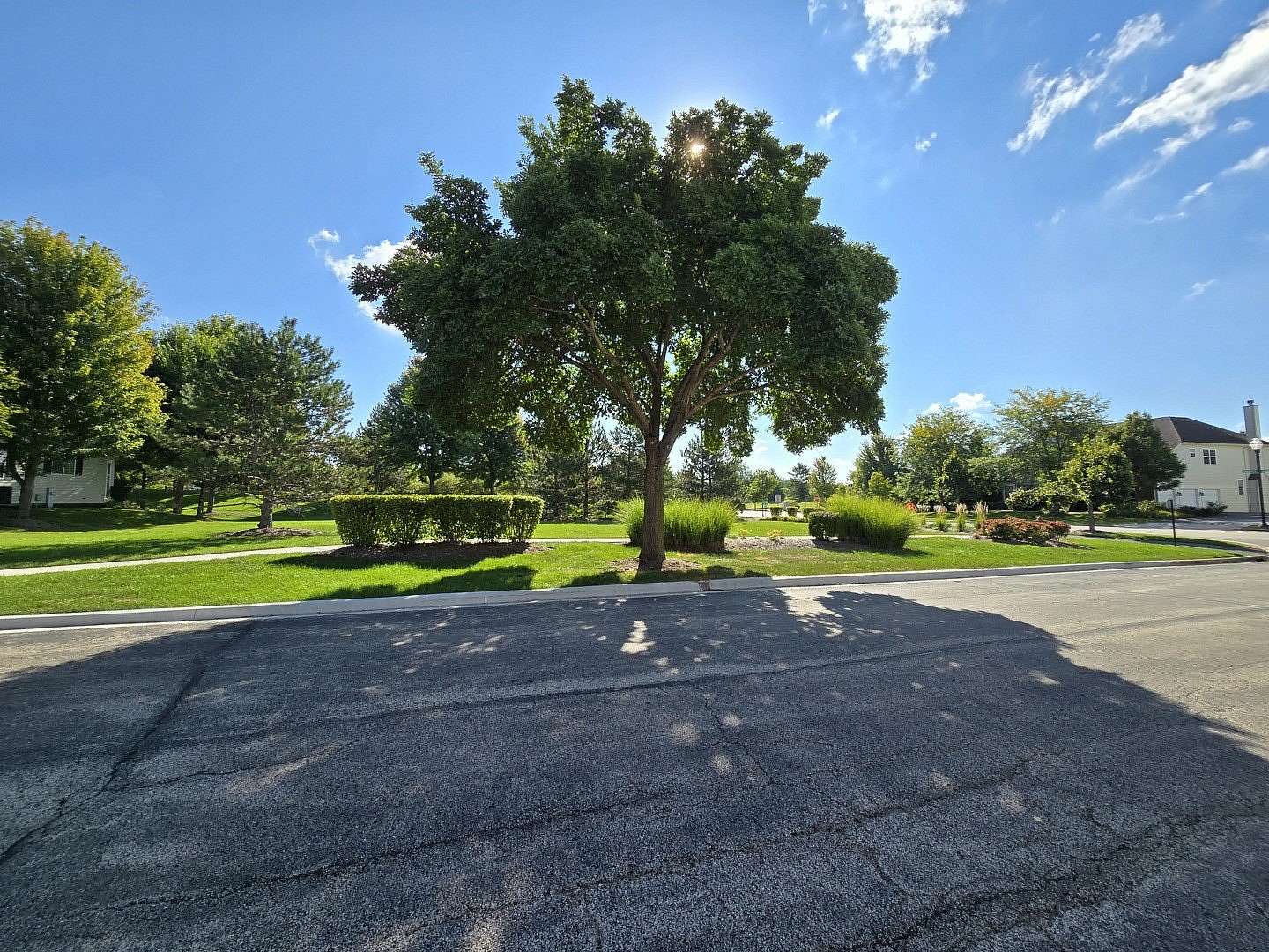 0.22 Acres of Land for Sale in Elgin, Illinois