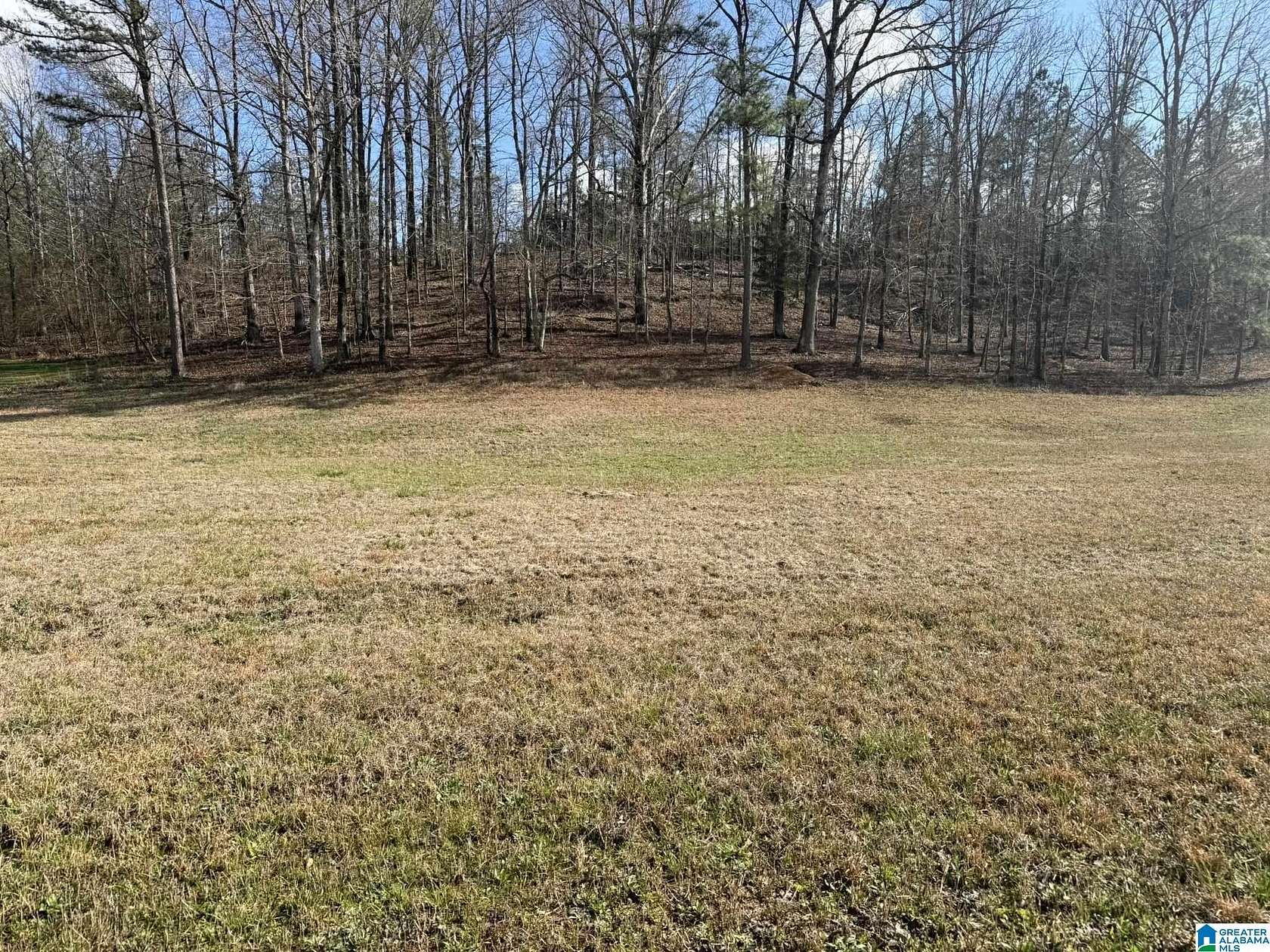 0.95 Acres of Residential Land for Sale in Bessemer, Alabama