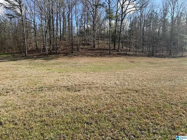 0.95 Acres of Residential Land for Sale in Bessemer, Alabama