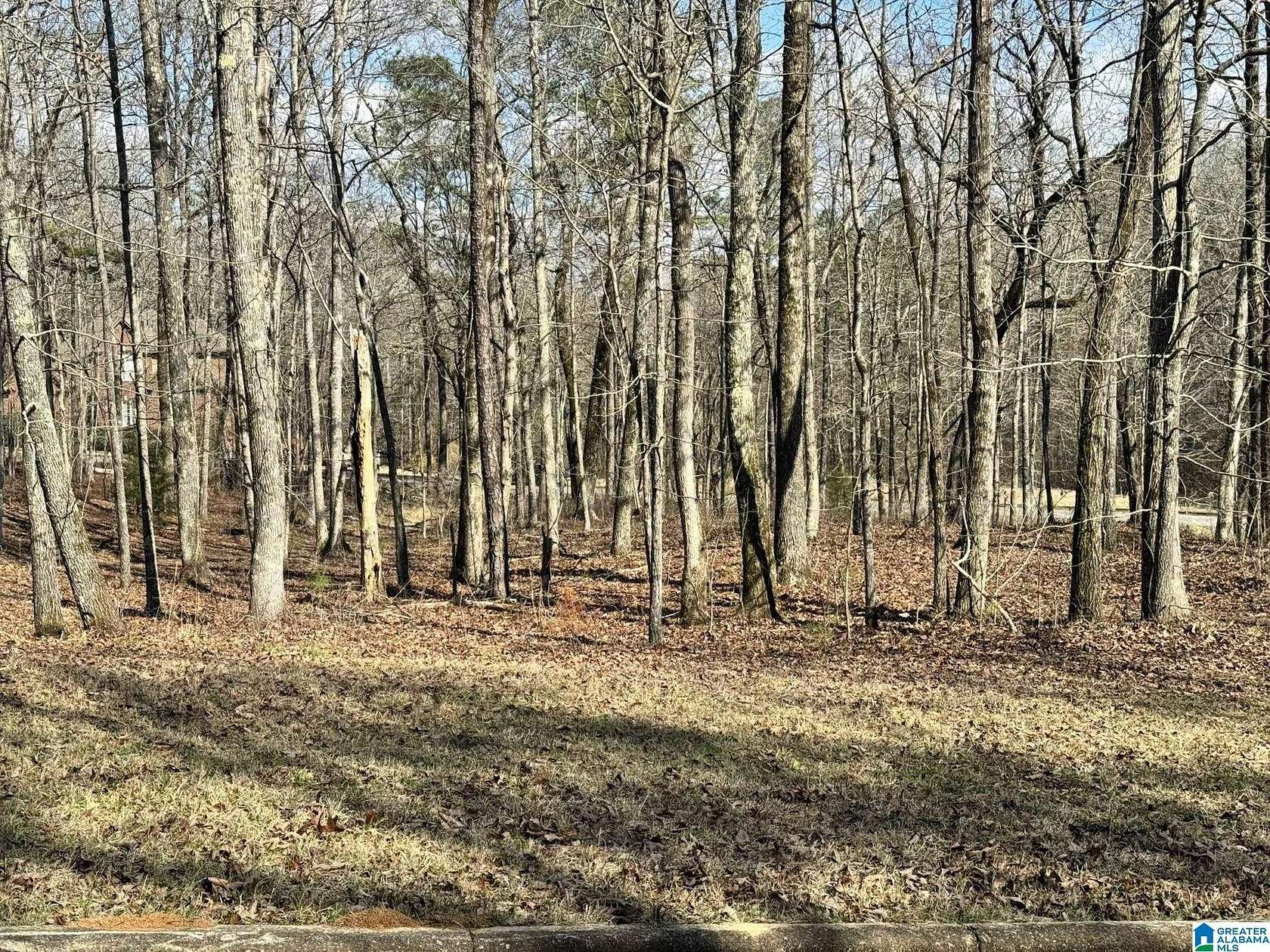 1 Acre of Residential Land for Sale in Bessemer, Alabama