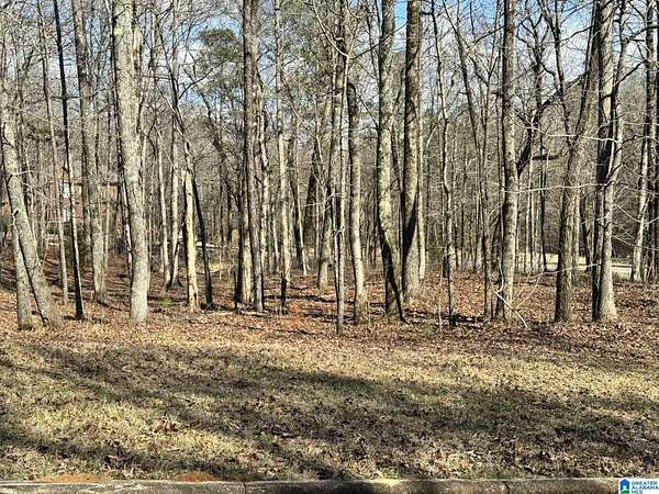 1 Acre of Residential Land for Sale in Bessemer, Alabama
