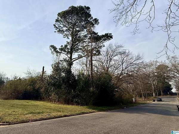 0.34 Acres of Residential Land for Sale in Sylacauga, Alabama