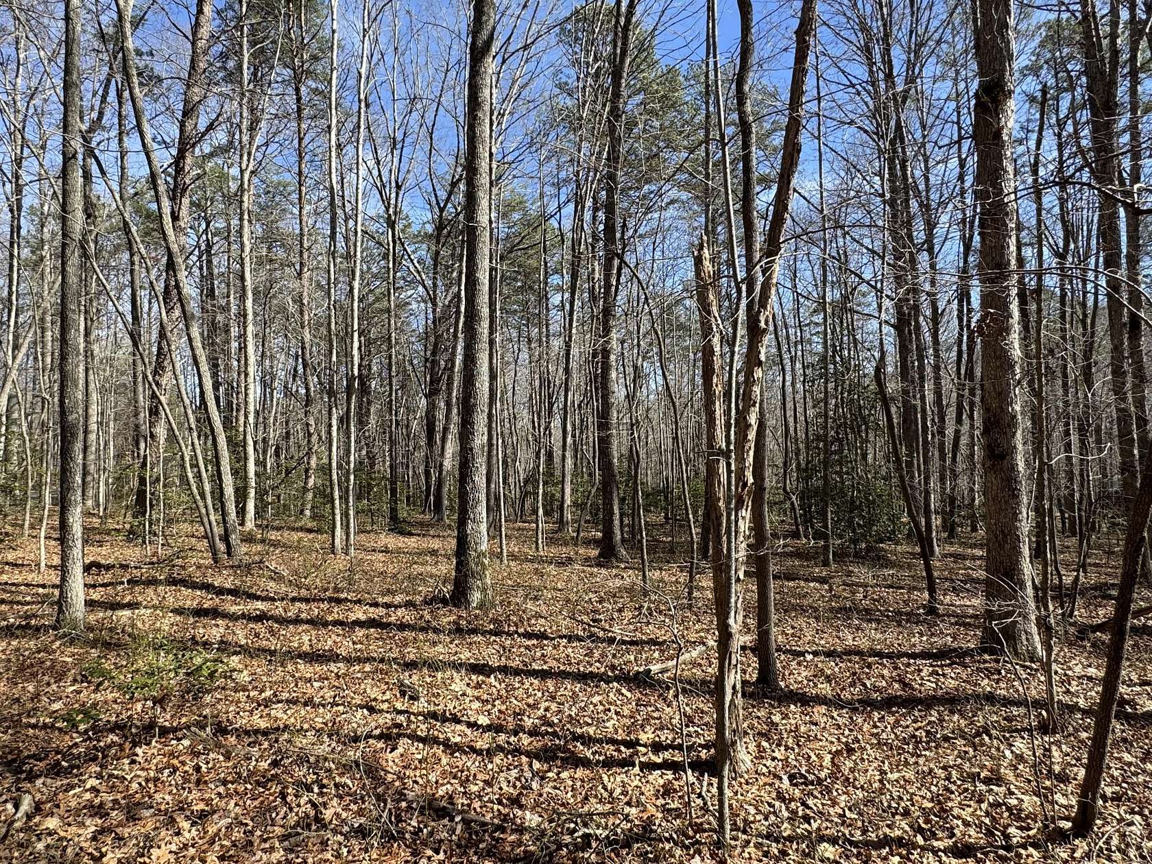 1.5 Acres of Residential Land for Sale in Dunlap, Tennessee