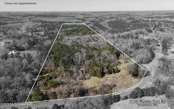 44.5 Acres of Recreational & Residential Land for Sale in Senatobia, Mississippi
