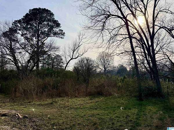 0.27 Acres of Residential Land for Sale in Sylacauga, Alabama