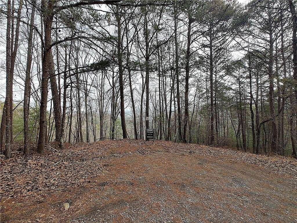2.5 Acres of Residential Land for Sale in Ranger, Georgia