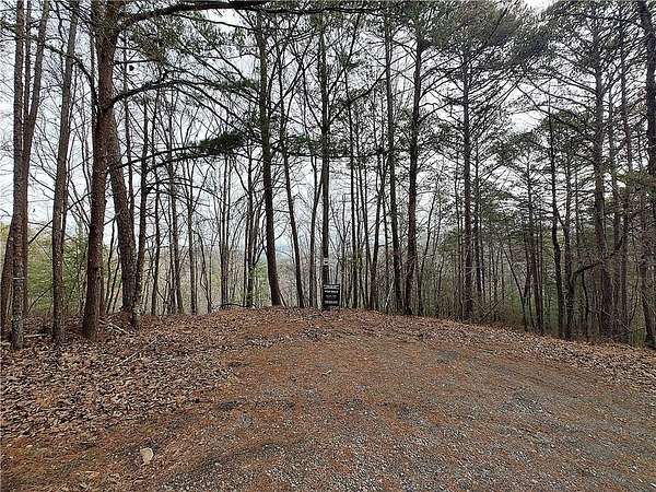 2.5 Acres of Residential Land for Sale in Ranger, Georgia