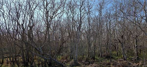 2.66 Acres of Residential Land for Sale in Rockport, Texas