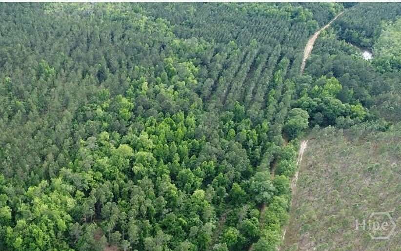 7.23 Acres of Residential Land for Sale in Register, Georgia