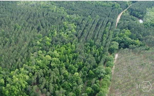 7.23 Acres of Residential Land for Sale in Register, Georgia