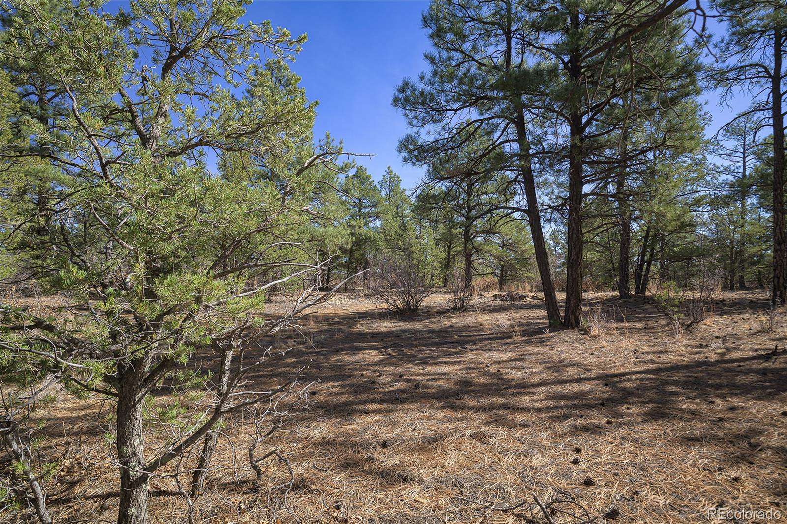 7.8 Acres of Residential Land for Sale in Weston, Colorado