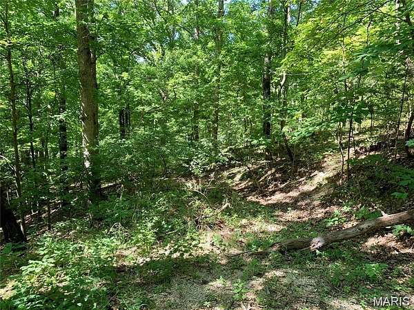 1.25 Acres of Residential Land for Sale in Imperial, Missouri