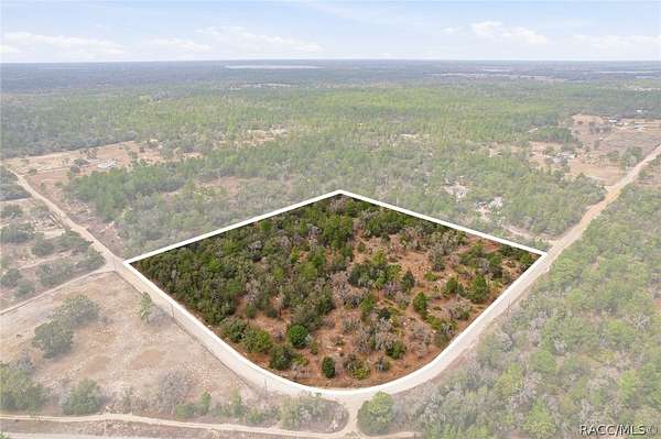 10 Acres of Agricultural Land for Sale in Dunnellon, Florida