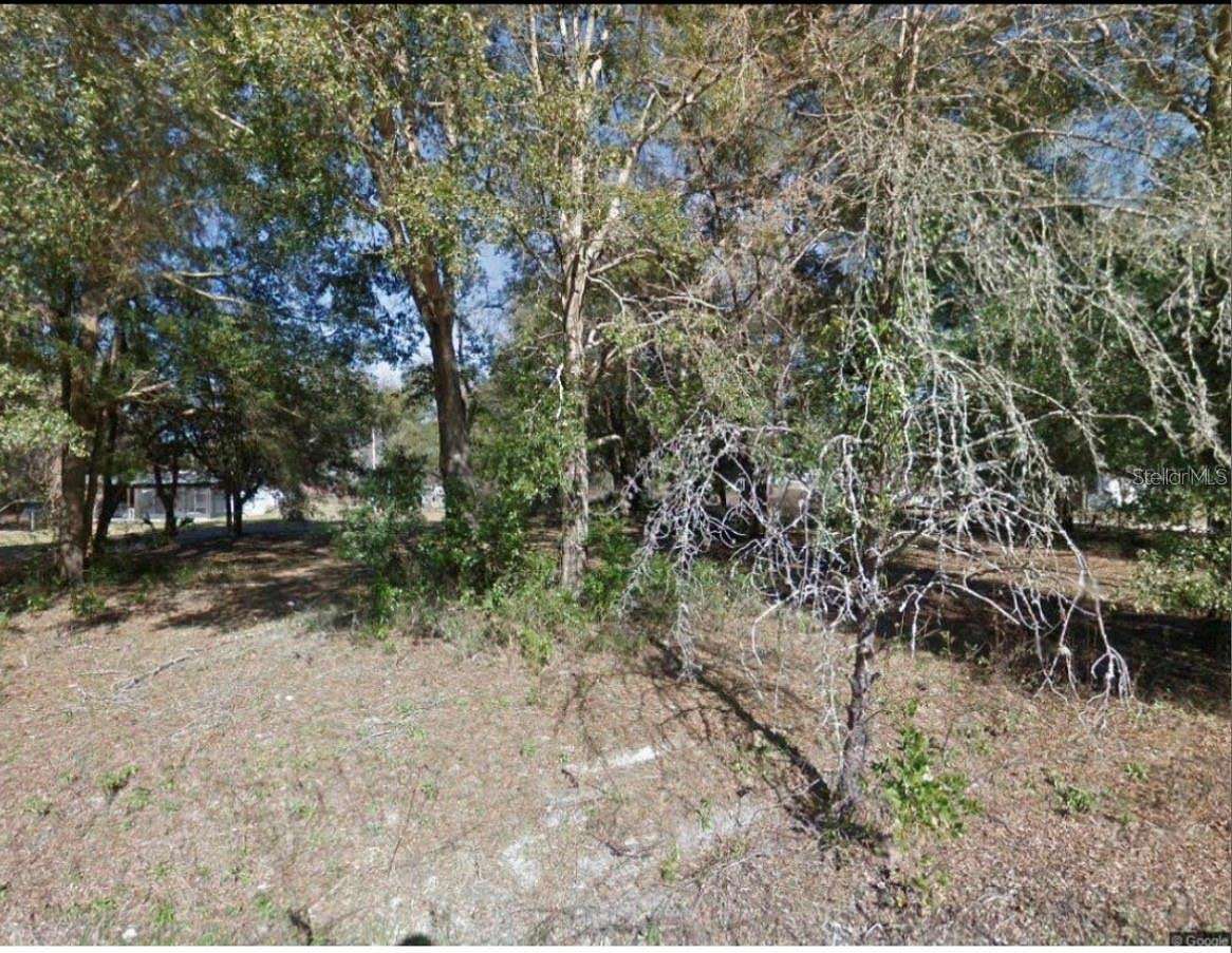 1 Acre of Residential Land for Sale in Fanning Springs, Florida