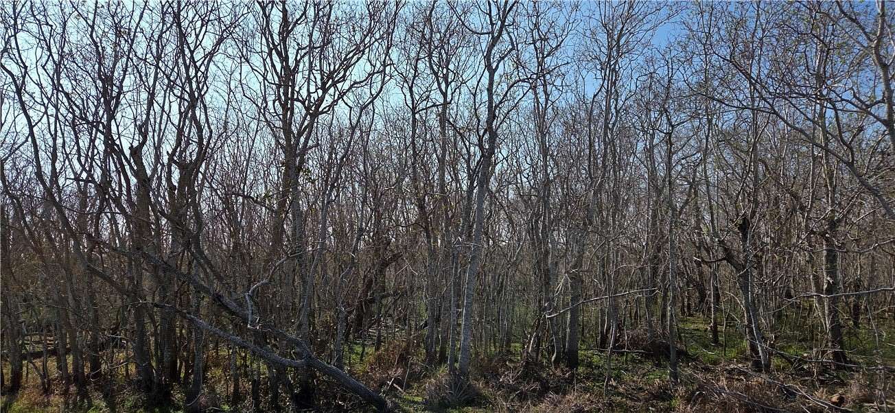 2.66 Acres of Residential Land for Sale in Rockport, Texas