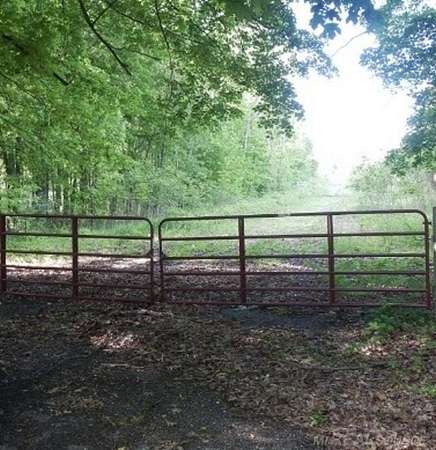 0.4 Acres of Residential Land for Sale in Allegan, Michigan