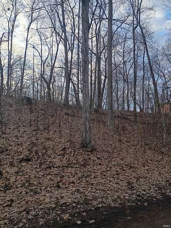 0.22 Acres of Residential Land for Sale in Lagrange, Indiana