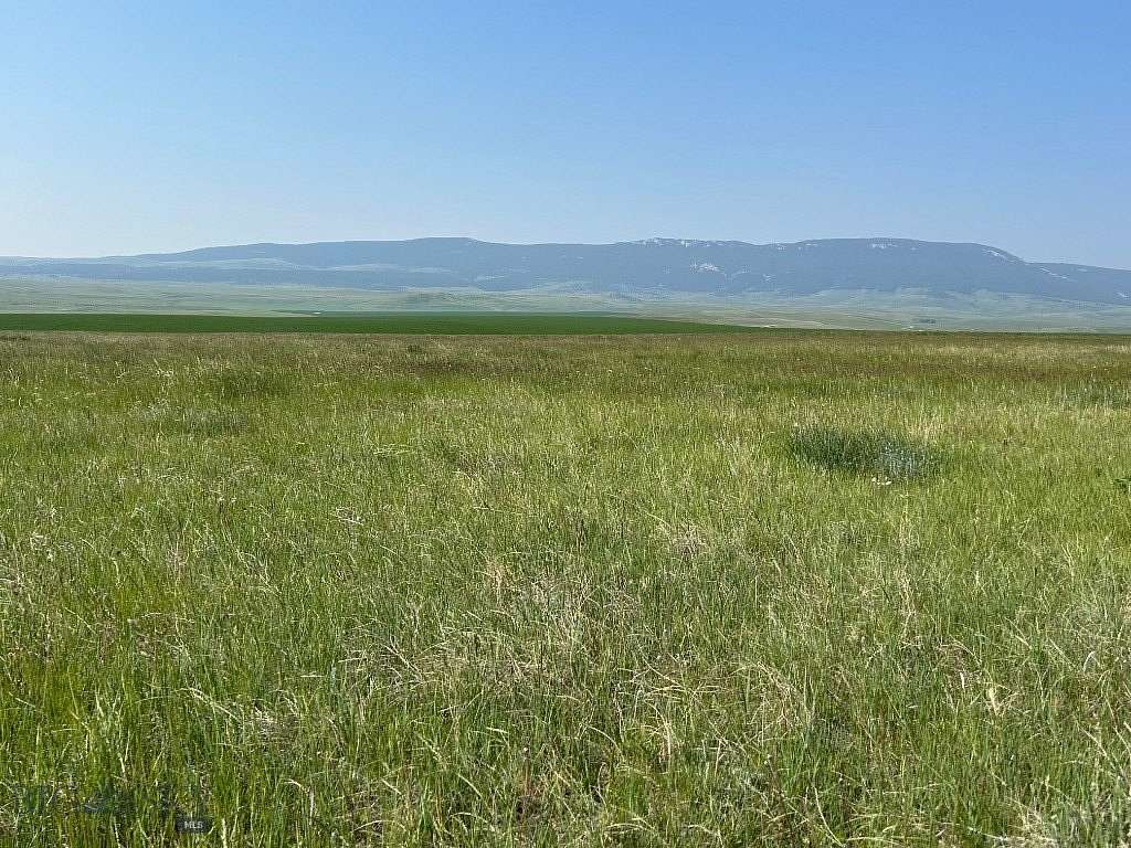 80 Acres of Recreational & Residential Land for Sale in Buffalo, Montana