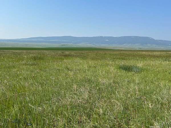 80 Acres of Recreational & Residential Land for Sale in Buffalo, Montana