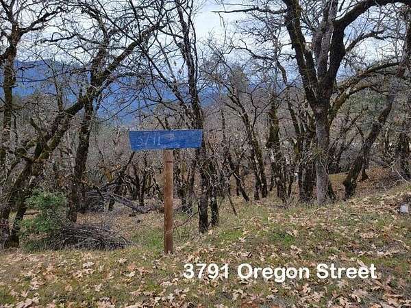 10.5 Acres of Land for Sale in Weaverville, California