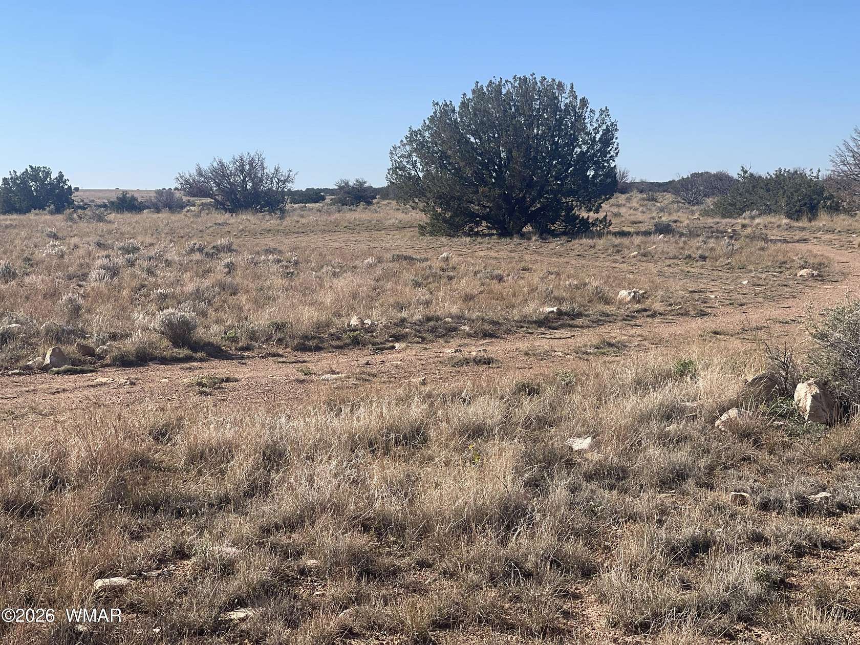 36.5 Acres of Land for Sale in Heber, Arizona