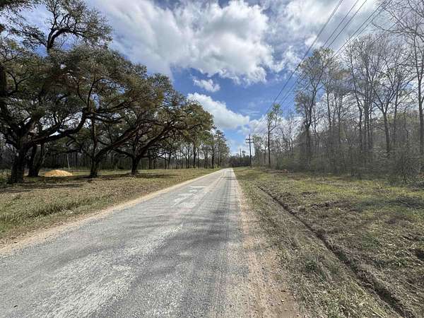 15.2 Acres of Recreational & Residential Land for Sale in Vidor, Texas