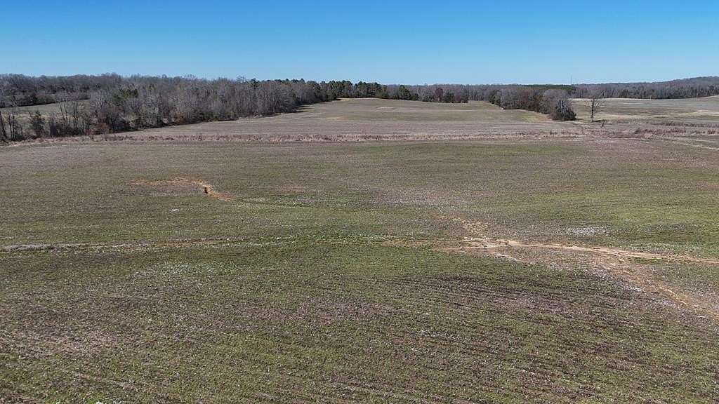 57 Acres of Agricultural & Residential Land for Sale in Yuma, Tennessee