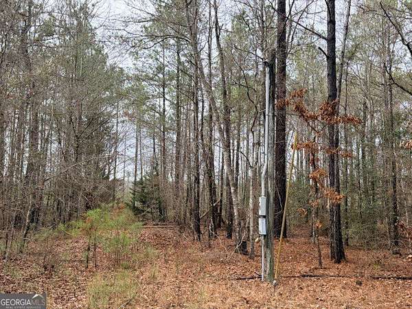 6.2 Acres of Land for Sale in McIntyre, Georgia