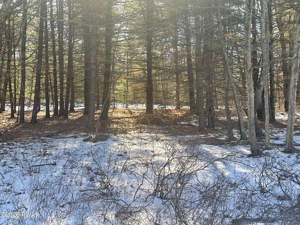 1.65 Acres of Residential Land for Sale in Lackawaxen, Pennsylvania