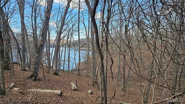 0.2 Acres of Residential Land for Sale in Charrette Township, Missouri