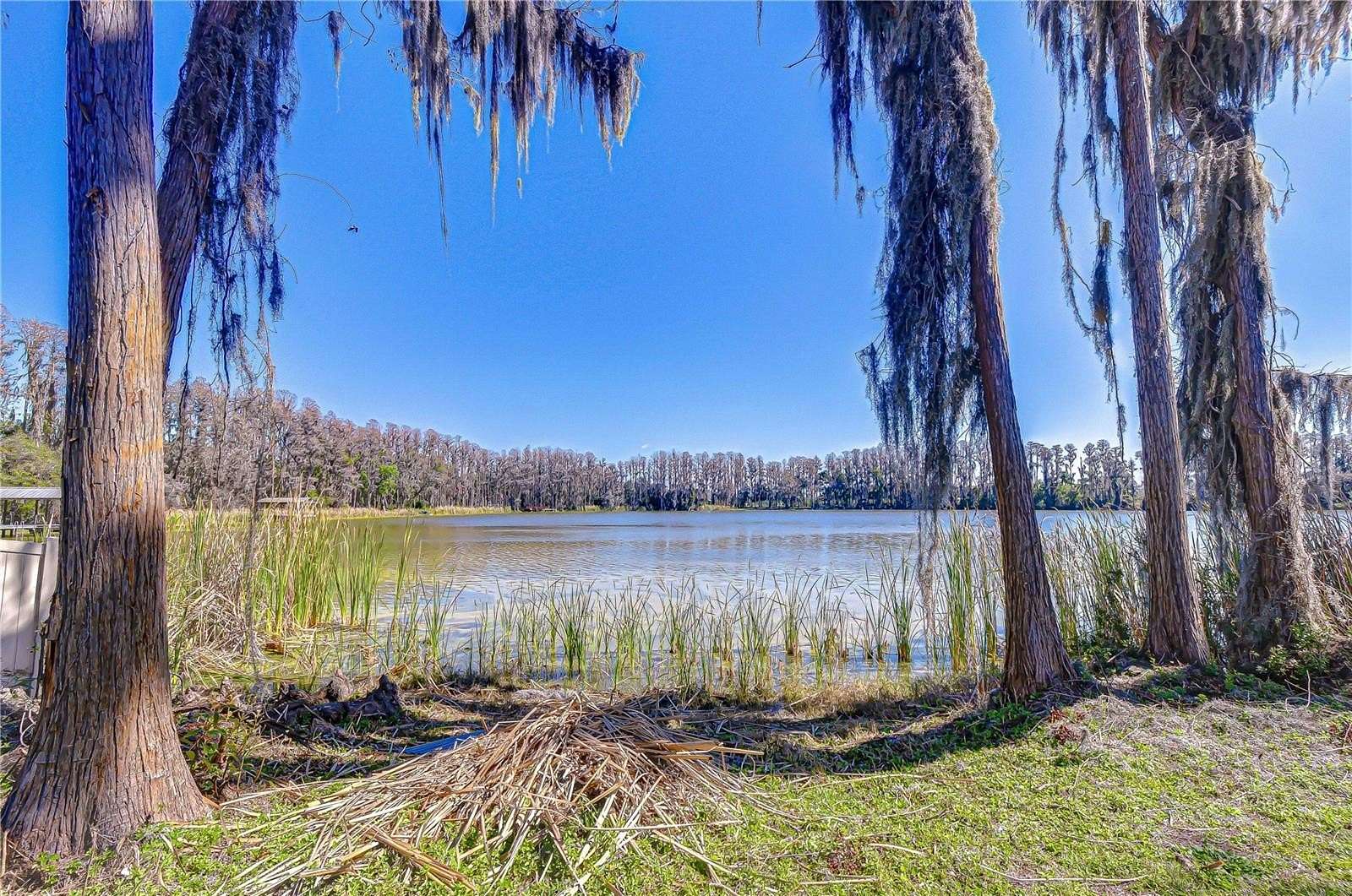 3 Acres of Land with Home for Sale in Land O' Lakes, Florida